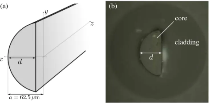FIG. 1. Presentation of the experimental system. (a) scheme of the fiber with γ < 1, (b) picture of the cross section of the optical fiber for γ = 0.95 taken with a standard microscope in the transmission mode