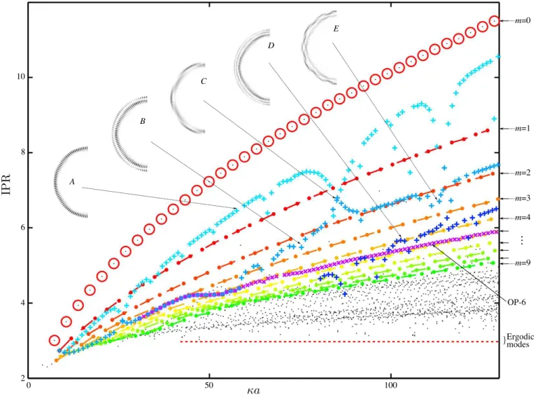 FIG. 8. Inverse Participation Ratio (IPR) as a function of the transverse wave number κ a for the mixed case (γ = 0.95) ; Families of modes are distinguishable as shown by the different markers: red circles [ ◦ ] correspond to 2-PO regular modes, from red 