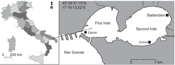 Figure 1:  Map  of Mar Grande and Mar Piccolo of Taranto with sampling stations for each species