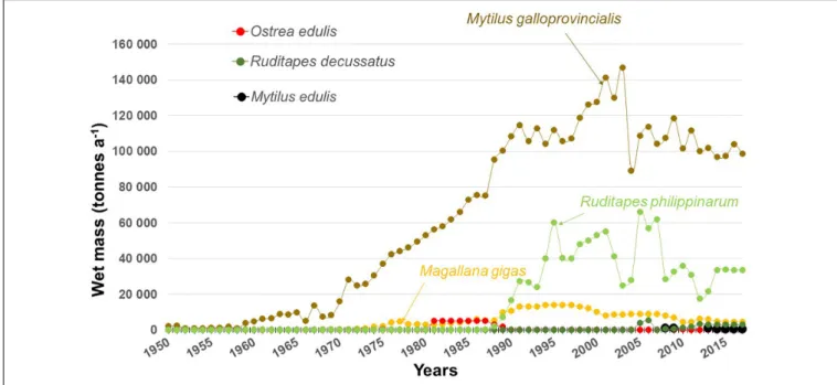 FIGURE 3 | Shellfish production in the Mediterranean. For the countries which have both Atlantic and Mediterranean shores (France and Spain), Atlantic production has been removed from the statistics