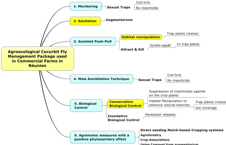 Fig. 11 Agroecological cucurbit fly management package used in commercial farms in Réunion