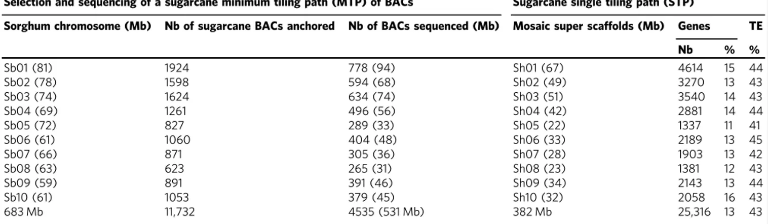 Table 1 Selection and sequencing of BACs targeting the gene-rich part of the sugarcane monoploid genome
