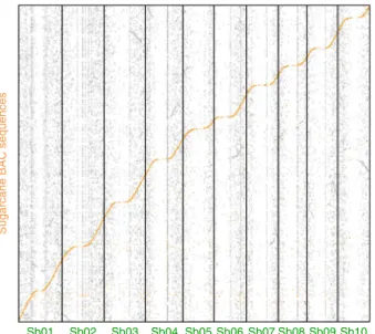 Fig. 4 Coverage of the sorghum genome by the sequenced sugarcane BAC MTP. Dot plot with alignment of BAC sequences from the sugarcane MTP (y-axis) on the sorghum genomic sequence (x-axis)