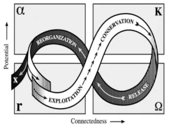Fig. 4. Possibilities within the safe and just space: diverse pathways, alternative directions, and varying distributional outcomes (adapted from a plenary presentation).