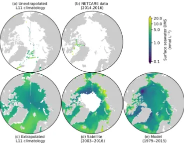 Figure 5. Pan-Arctic distribution of July–August concentrations of surface ocean DMS. Upper panels show the comparison between (a) the discrete (Lana et al., 2011) climatology and (b) the data collected during the two NETCARE field campaigns