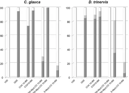 Fig 4. Chitotetraose is a more efficient elicitor of Ca 2+ spiking in root atrichoblasts of both C