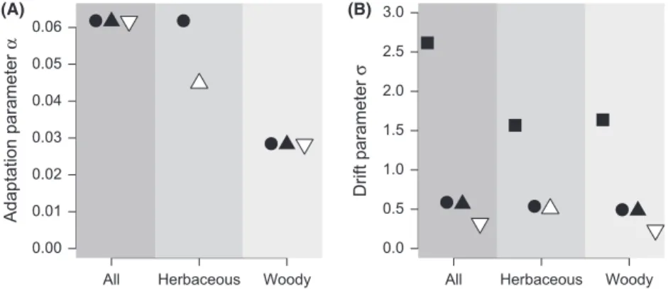 Figure 6. Parameter estimates for models of trait evolution: (A) parameter a estimates the rate of adaptation (Hansen, 1997), (B) parameter r estimates the magnitude of perturbations not due to selection (Hansen, 1997)
