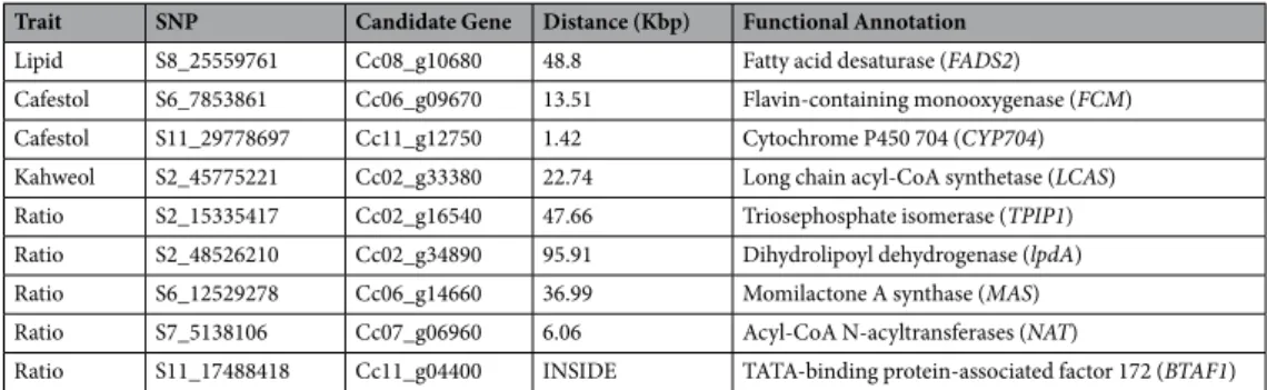 Table 3.  Candidate genes located in the vicinity of the SNPs presenting significant association with lipids,  cafestol, kahweol contents, and with cafestol/kahweol ratio detected by at least two GWAS methods.
