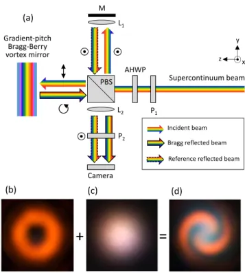 FIG. 7. Illustration of the three-dimensional molecular ordering following Eq. (4) in the case q = 1 for (a) constant-pitch and (b) gradient-pitch cholesterics.