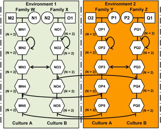 Figure 2. The ideal double pedigree protocol to study the interactions between genotype, environment and culture