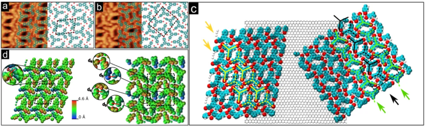 Figure 4: DFT models of TBB networks on Gr/Ir(111) overlaid on an atomically- atomically-resolved STM image of the (a) 2MOL and (b) 4MOL polymorph (5 × 5 nm 2 , U T = 2.05 V;
