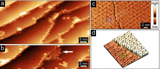 Figure 2: Early stage of growth of TBB on Gr/Ir(111). STM topographs recorded after deposition of (a) 0.05 monolayer (ML) and (b) 0.2 ML of TBB