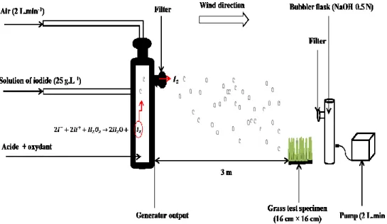 Fig. 1. Emission  of gaseous elemental iodine, sampling  from  the atmosphere and grass