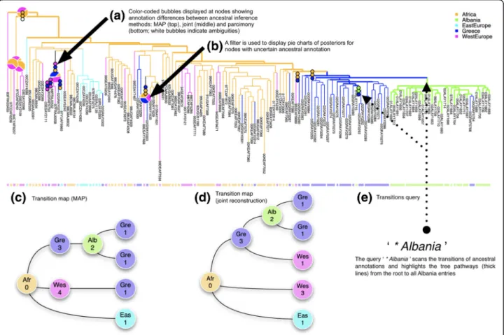 Fig. 4 Output of a PastView analysis for the study of HIV-1A epidemiological history in Albania (Salemi et al., 2008 [15])