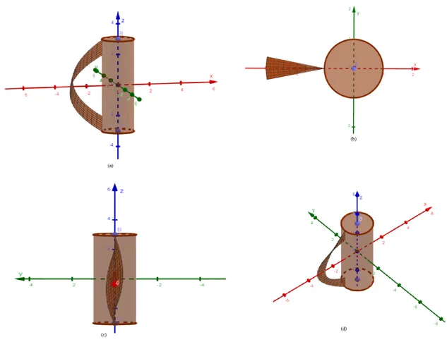 Figure 4. Ribbon and cylinder view in perspective in coordinate (O, x, y, z) . (a) side view, (b) projection on the plane (x, y), (c) projection on the plane (y, z), (d) top view