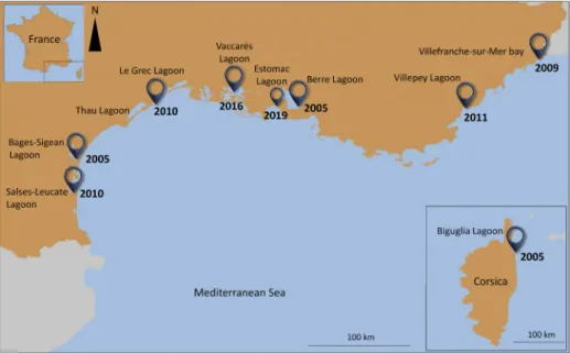 Figure 1. French Mediterranean coastal systems where the ctenophore  Mnemiopsis leidyi has  already been observed.