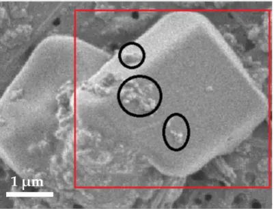 Figure 10. SEM image of a mixing sea-spray-soot as sampled on the Mediterranean coast using a Dekati impactor