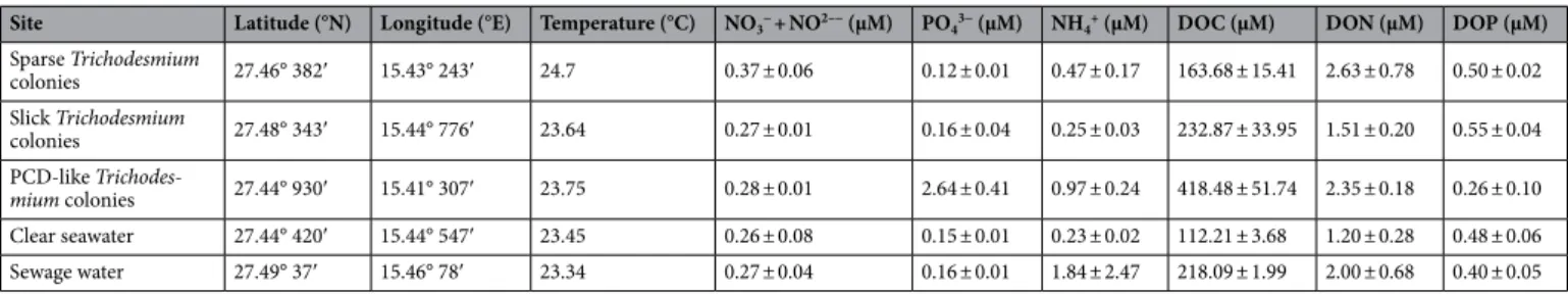 Table 2.   Abundance of heterotrophic and autotrophic picoplankton within Trichodesmium blooms in three  development stages (sparse, slick and PCD-like), and in clear and sewage waters.