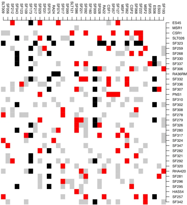 Fig 2. SUNRISE hybrids obtained from 36 maintainer lines (females, rows) crossed to 36 restorer lines (males, columns).