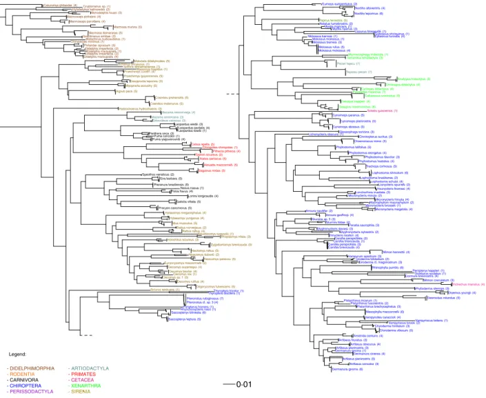 Fig. 4. Neighbour-joining tree based on raw distances computed from pairwise alignments of the 12S-V5 metabarcode