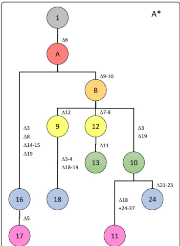 Fig. 5 Genealogy of spoligotypes from pathotype A* strains.