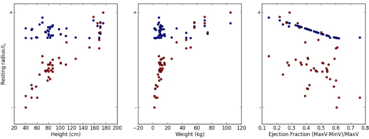 FIGURE 6 Estimated values of the resting radius 