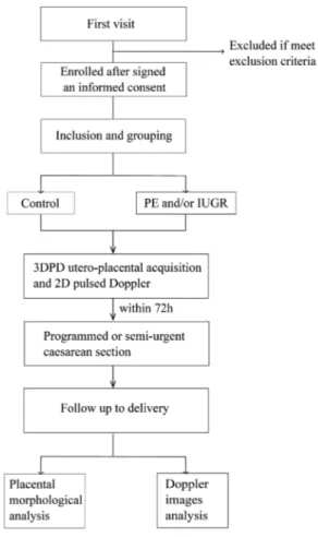 Figure 3 Flowchart of participating women through the study. IUGR, intra-uterine growth restriction; PE, preeclampsia.