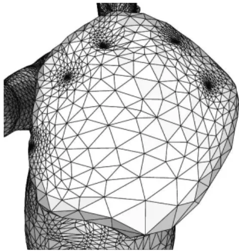 Figure 1. Example of an oversampled region of HORSE - TO - MAN . The unnecessary vertices will be used to represent the fingers  appear-ing durappear-ing the morphappear-ing.