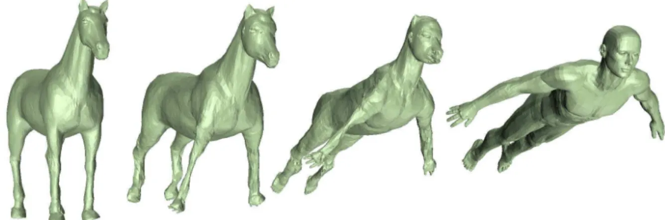 Figure 2. The morphing sequence HORSE - TO - MAN is represented by a time-varying mesh with a static connectivity (17489 vertices, 34974 triangles)..