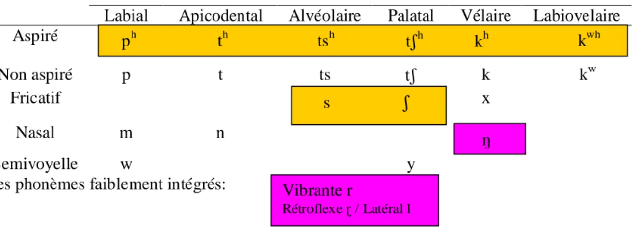 Tableau 11 : Dynamique du système phonologique des consonnes  Système vocalique 