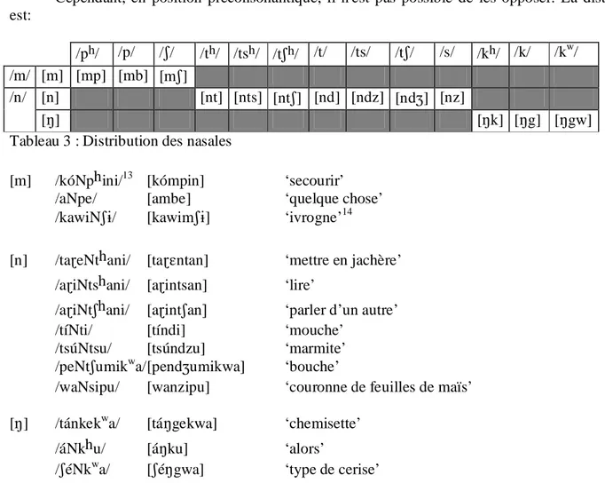 Tableau 3 : Distribution des nasales 