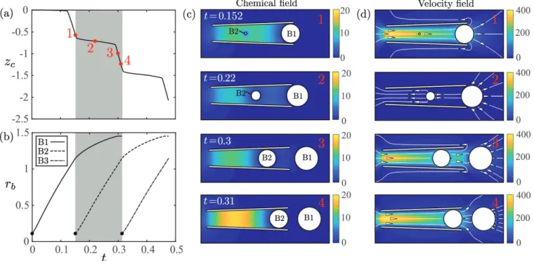 FIG. 8: Chemical concentration and bubble dynamics when many bubble are present in the cone for the parameters H cc = 0.1, β = 1 and θ = 2 ◦ : (a) Time-dependence of the cone position, with the shaded region highlighting one bubble cycle; (b) Time-dependen
