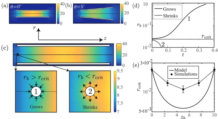 FIG. 2: Dissolved gas concentration inside and around the microrocket for (a) θ = 0 ◦ and (b) θ = 5 ◦ 