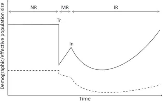 Figure 1 Introductions are characterized by major demographic and genetic disequilibria during transit (Tr) from their native range (NR) and when introduced (In) into the introduced range (IR)