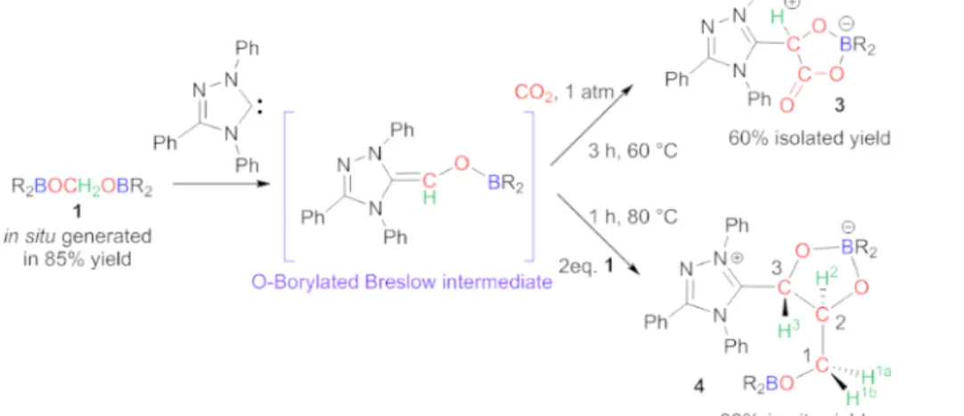 Figure 3: Carbene-mediated C-C bond formation. Synthesis of compounds 3 and 4. Please click here to view a larger version of this figure.