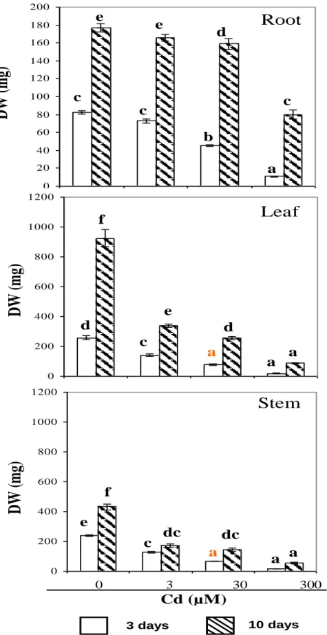 Figure  1.  Growth  of  tomato  roots,  leaves  and  stems  as  a  function  of  Cd  treatment