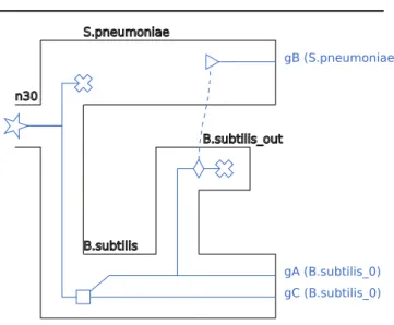Fig. 3. A <recPhylo> object containing a species tree and one reconciled gene tree.