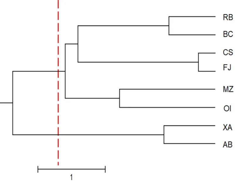 Fig 2. Dendrogram showing the classification of the studied populations of Uncaria guianensis into three genetic groups.