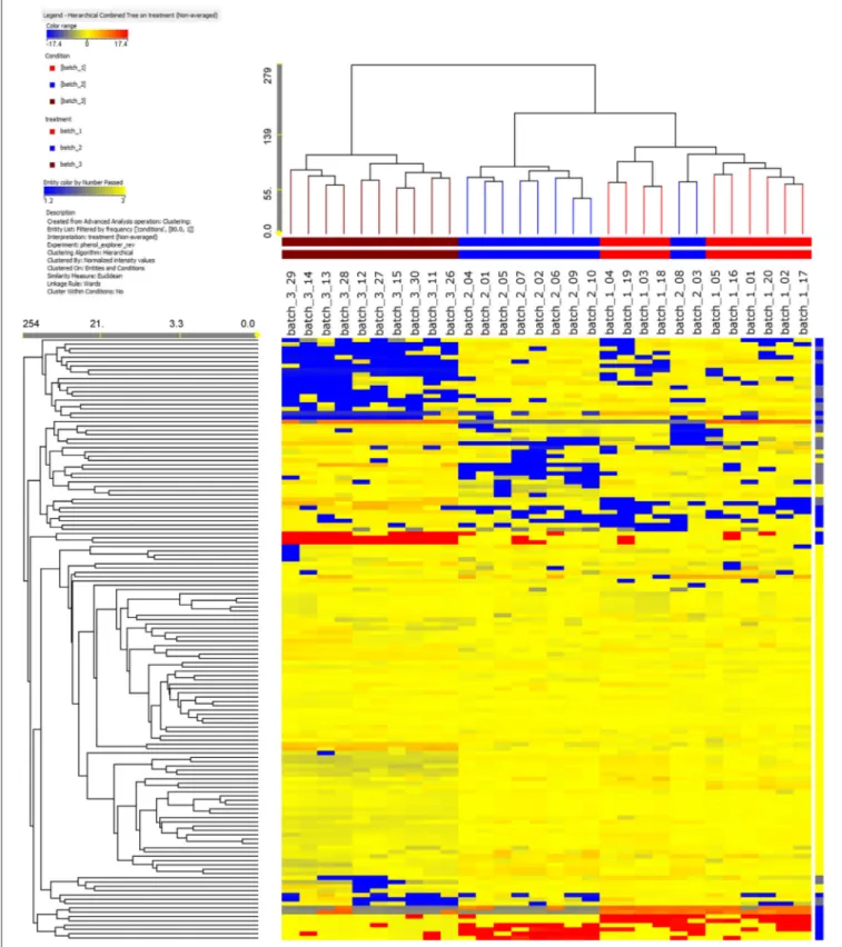 FIGURE 1 | Results of a not averaged, unsupervised hierarchical cluster analysis on the phenolic profile in the vanilla pods analyzed