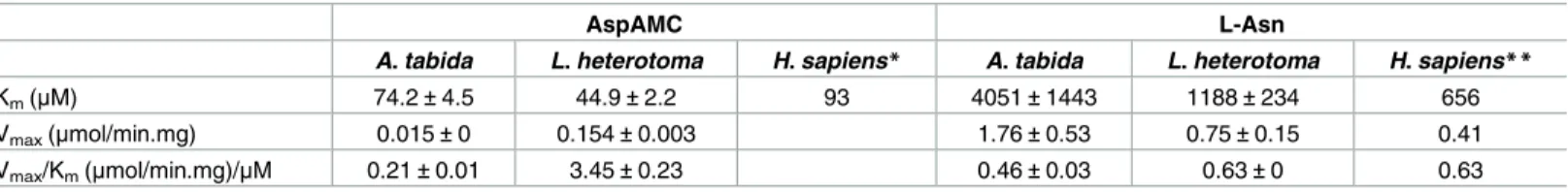Table 1. Kinetic constants of AtAGA and LhAGA for AspAMC and L-asparagine.