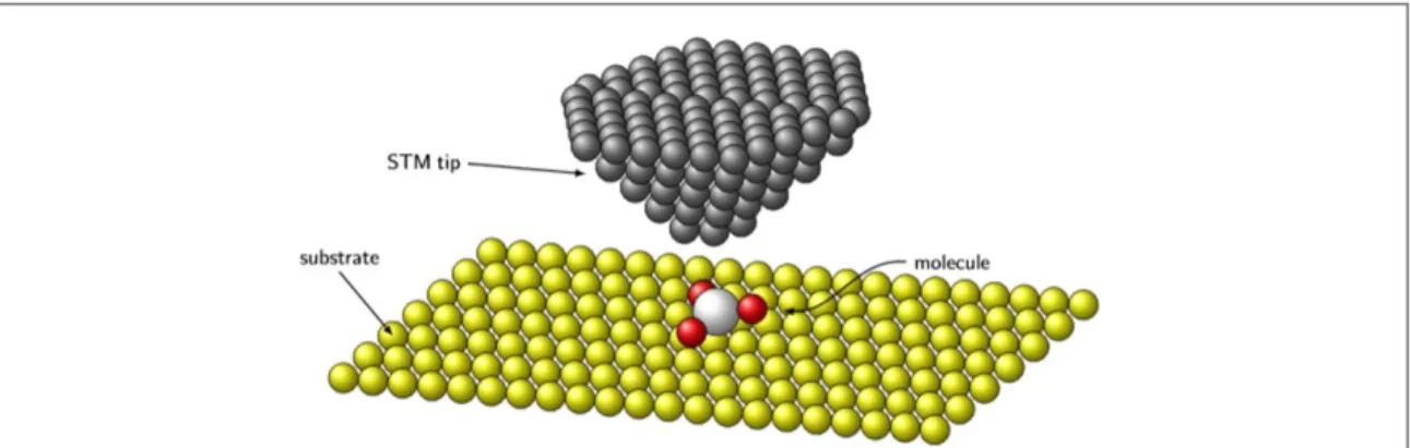 Figure 1. Sketch of the setup. The STM tip is probing the molecule on top of the substrate and triggers its rotational motion.