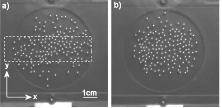 Fig. 1: The 2D cell containing the granular medium is mounted on a vibrating device (along the y-axis) and high-speed video recordings are performed to track the motion of the particles.