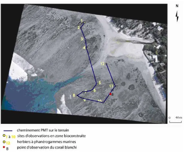 Figure 4 : Sortie terrain sur la plage de l'Ermitage. 