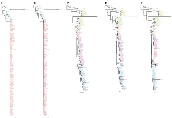 Figure S2. Phylogenetic Trees, Related to Figure 1