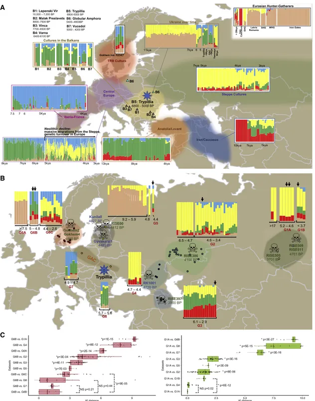 Figure 4. Ancient Human Genomes Indicate that Massive Migrations Were Not Responsible for Y