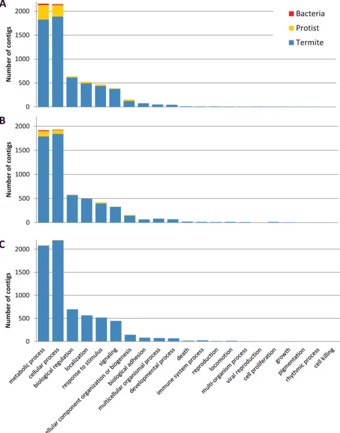 Fig 3. Gene Ontology analysis of Biological Processes (GO level 2). A: R. flavipes. B: R