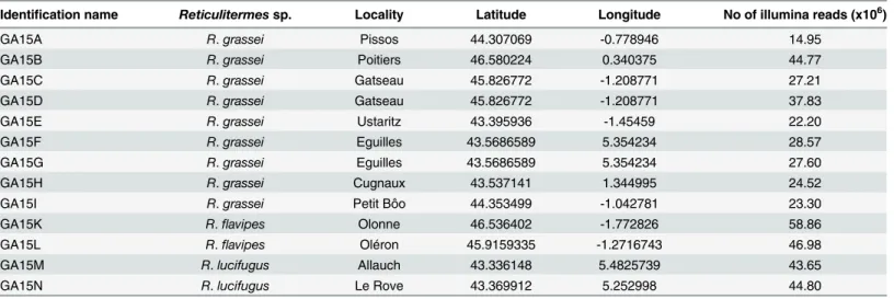 Table 1. Information and sequencing results of nymphoid neotenic female termites used in this study.