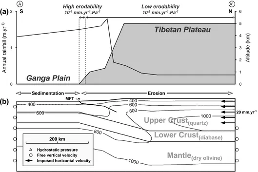 Figure 2. Main features of the model.(a) Rainfall profile (black line) and initial topog- topog-raphy (gray area) used in this study