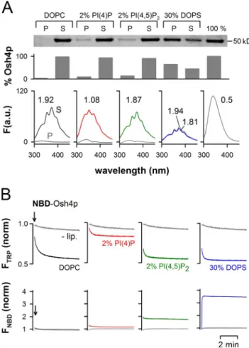 Figure  2.  Influence  of  membrane  composition  on  the  solubilization  of  DHE by Osh4p