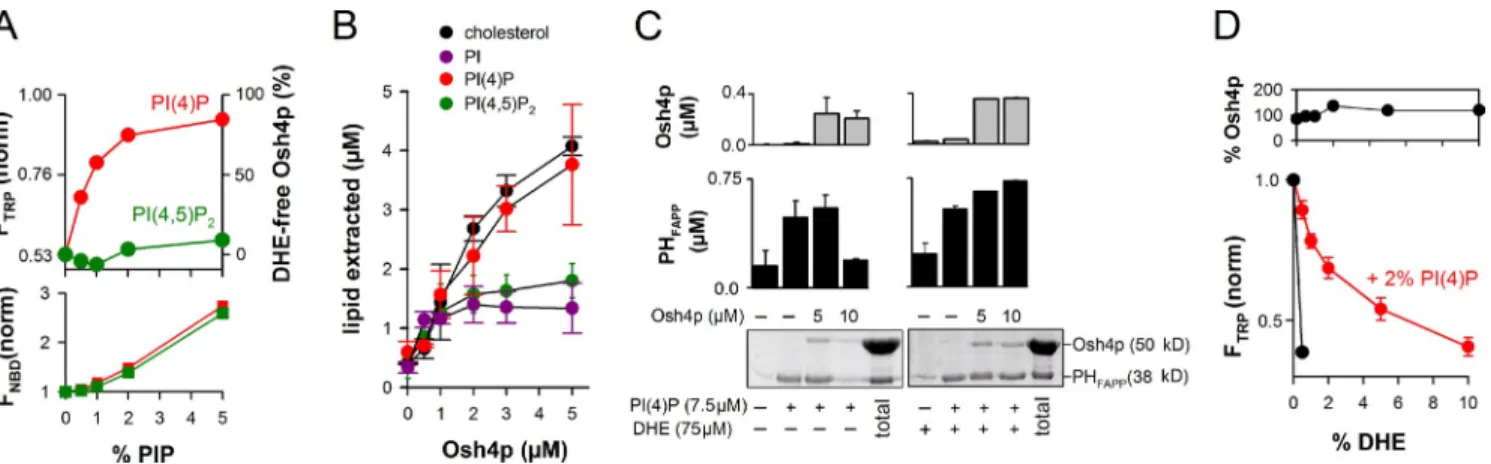 Figure 3.  DHE and PI(4)P compete for extraction by Osh4p. (A) 0.5 µM NBD-Osh4p was added to buffer alone or to DOPC liposome (0.5 mM lipids)  containing 0.5 mol% DHE and increasing amounts of PI(4)P or PI(4,5)P 2 